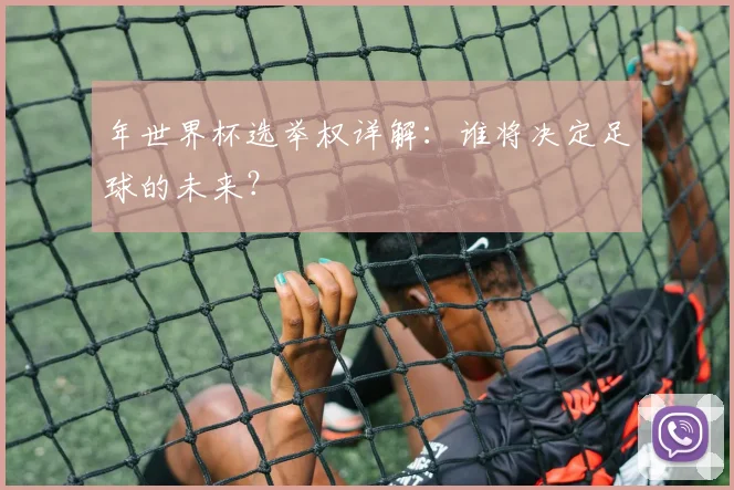 年世界杯选举权详解：谁将决定足球的未来？