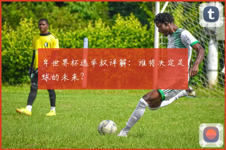 年世界杯选举权详解：谁将决定足球的未来？